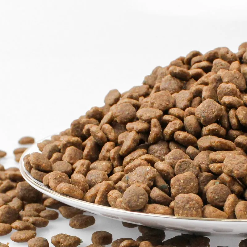 Papra moħmija u ikel tal-klieb tal-lanġas