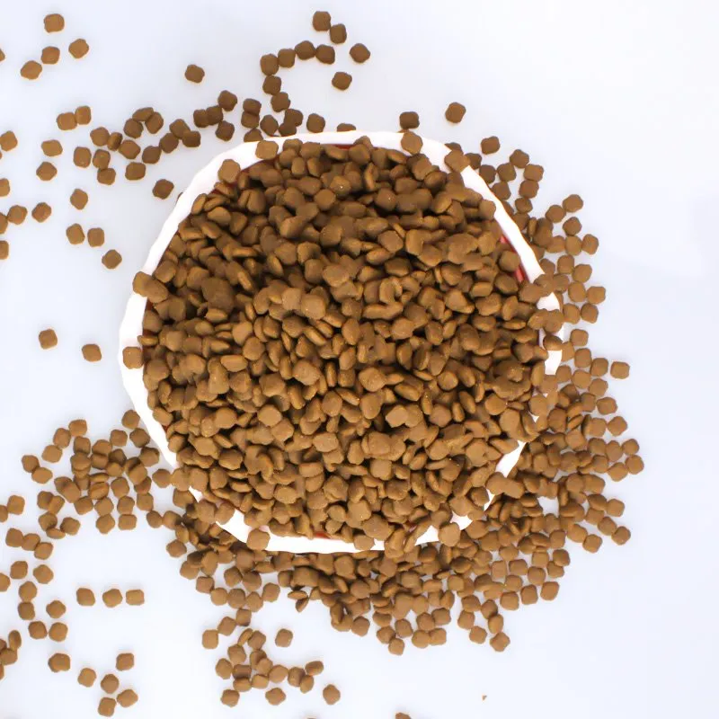 L-Aħjar Ikel tal-Klieb Nutrizzjonali