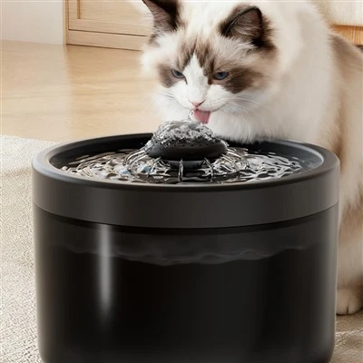 USB Ħelu Pet Live Dispenser ta 'Ilma